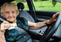 foreign old female driver breaks traffic rules 1500 times
